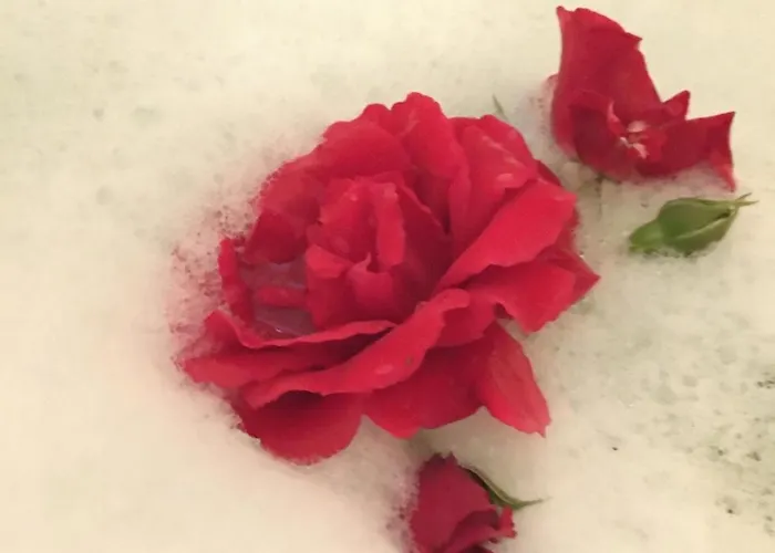 아파트 Romantik 2-6 P *